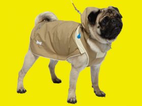 Sports coat for dogs 03