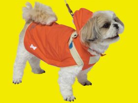 Sports coat for dogs 02
