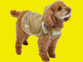 Sports coat for dogs 01