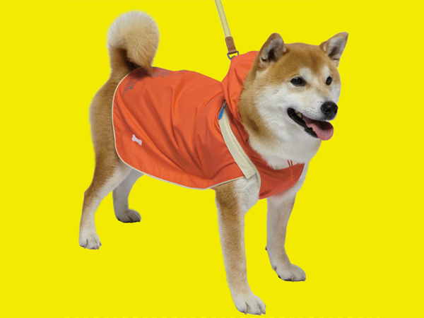 Sports coat for dogs 04