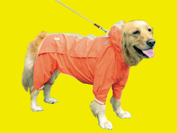 Sports coat for dogs 07